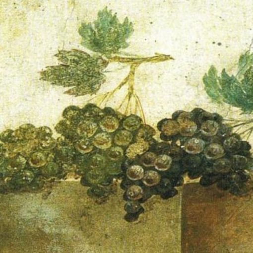 Pintura romana de racimos de uvas