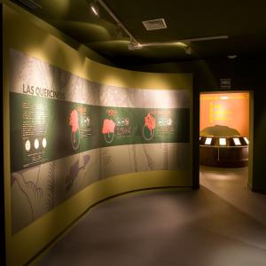 Carteles explicativos y fotos del Museo del jamón de Aracena