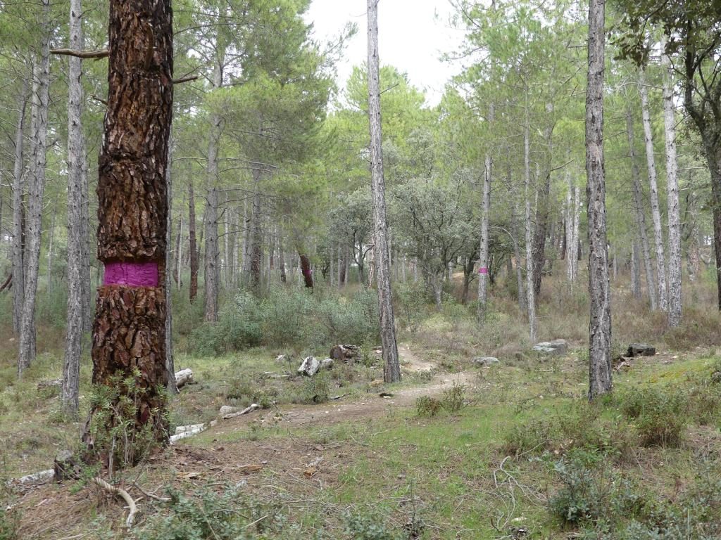 Madrid Sierra Norte ArqueoTrip 21