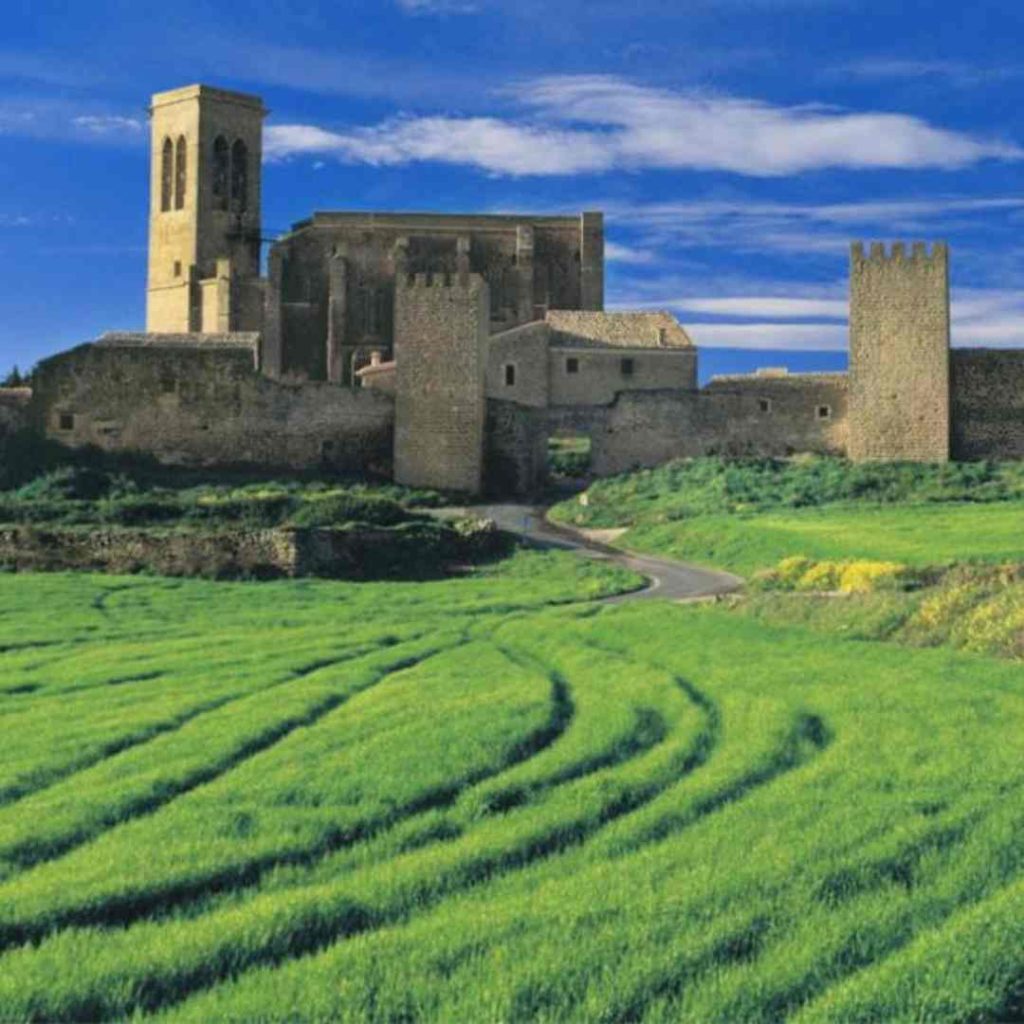 Fortaleza del Reino de Navarra